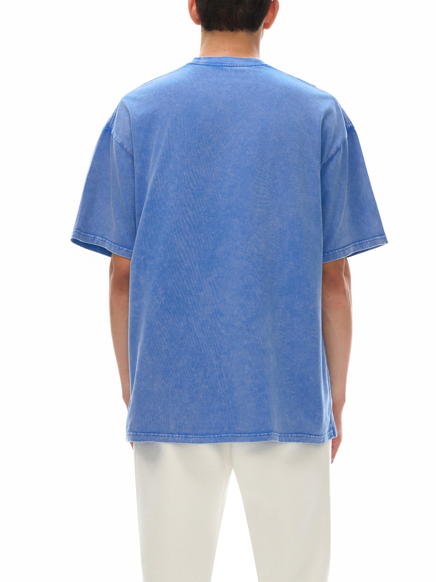 DS Snowy-T (Blue)